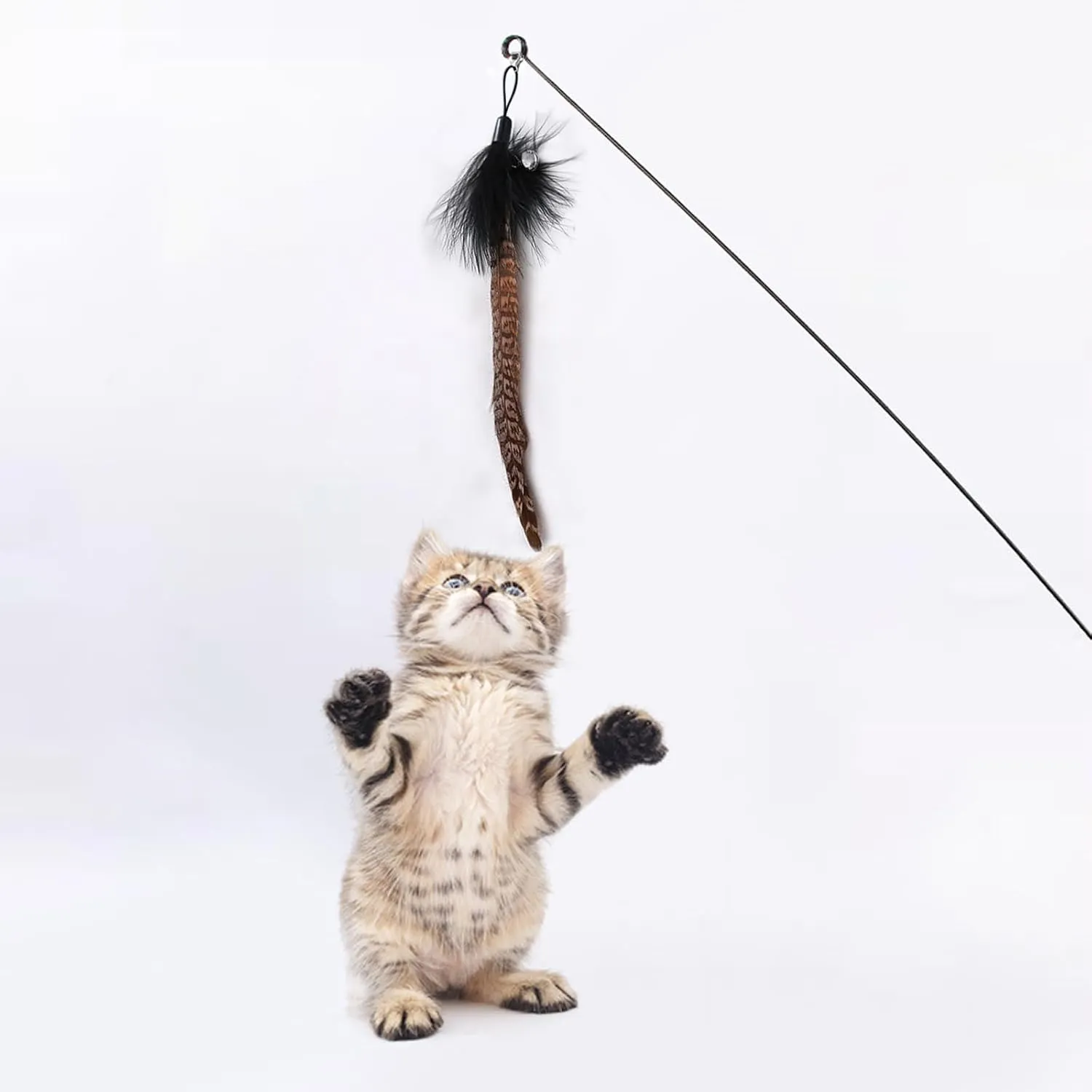 10 Pieces Cat Feather Toys Replacement Insect Cat Toy with Bell Wand Refills Cats Toy Replacement Natural Bird Feathers for Cats Toys