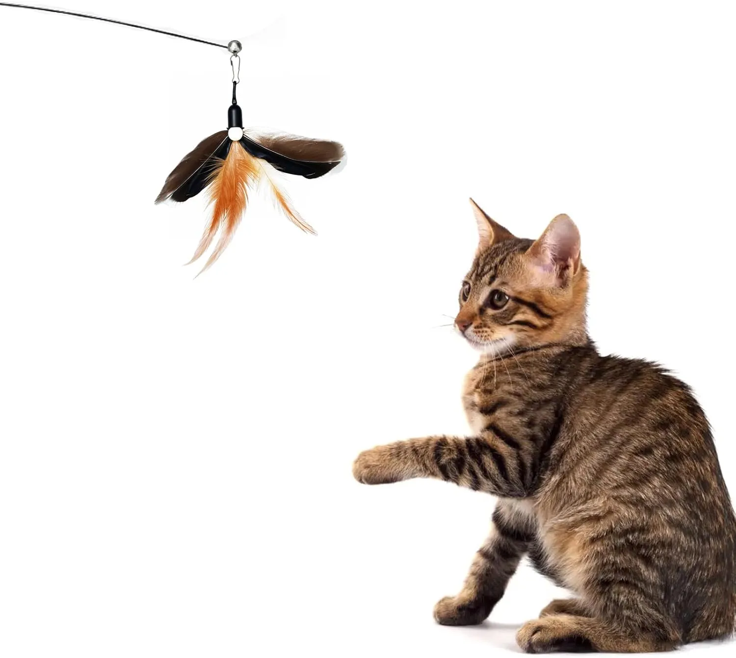 10 Pieces Cat Feather Toys Replacement Insect Cat Toy with Bell Wand Refills Cats Toy Replacement Natural Bird Feathers for Cats Toys