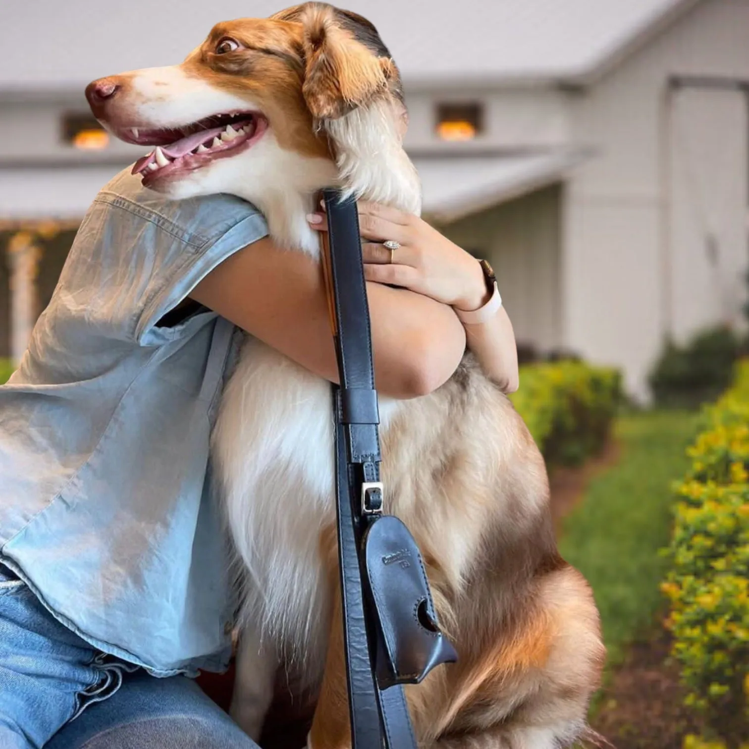 Blue Leather Dog Leash