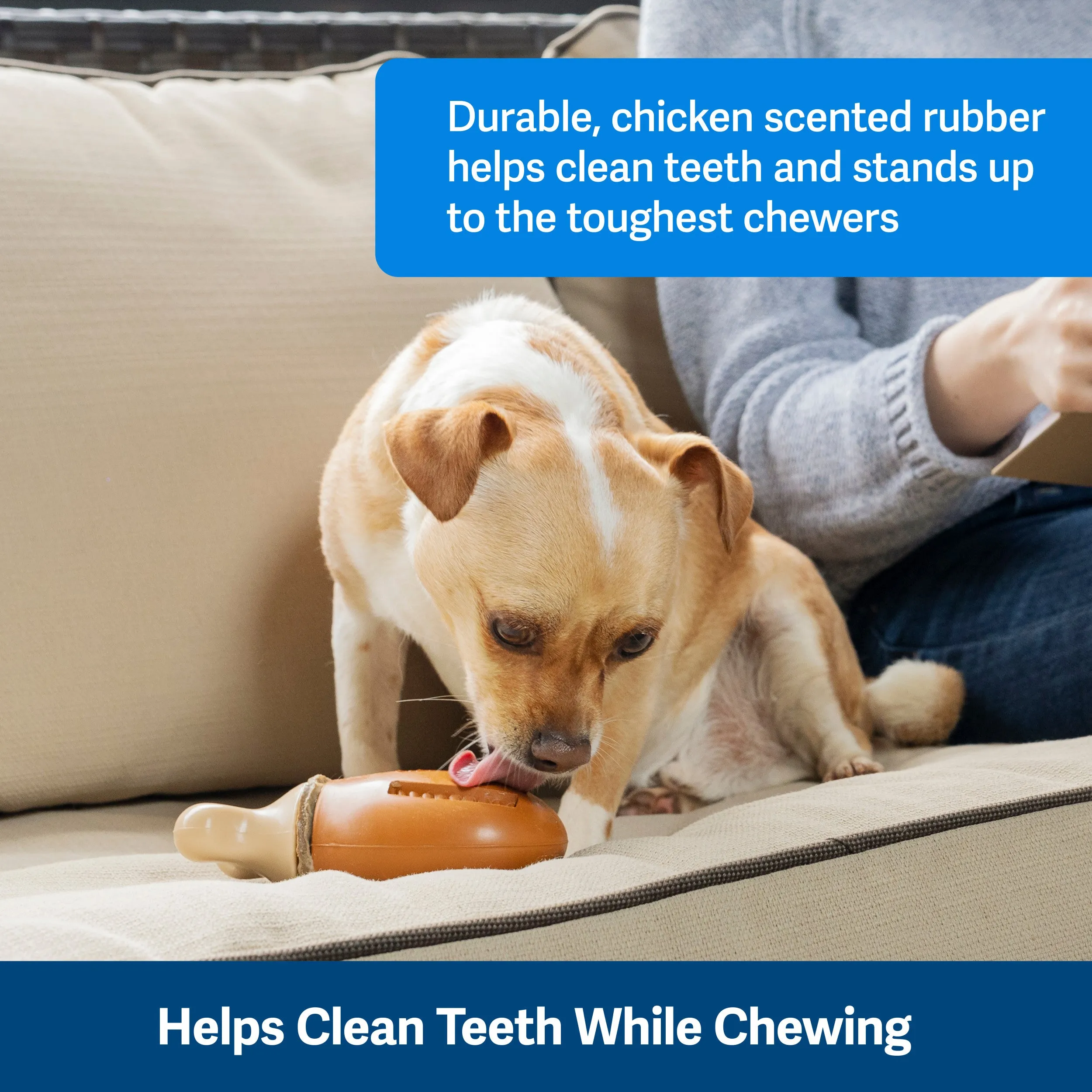 Busy Buddy® Chompin' Chicken