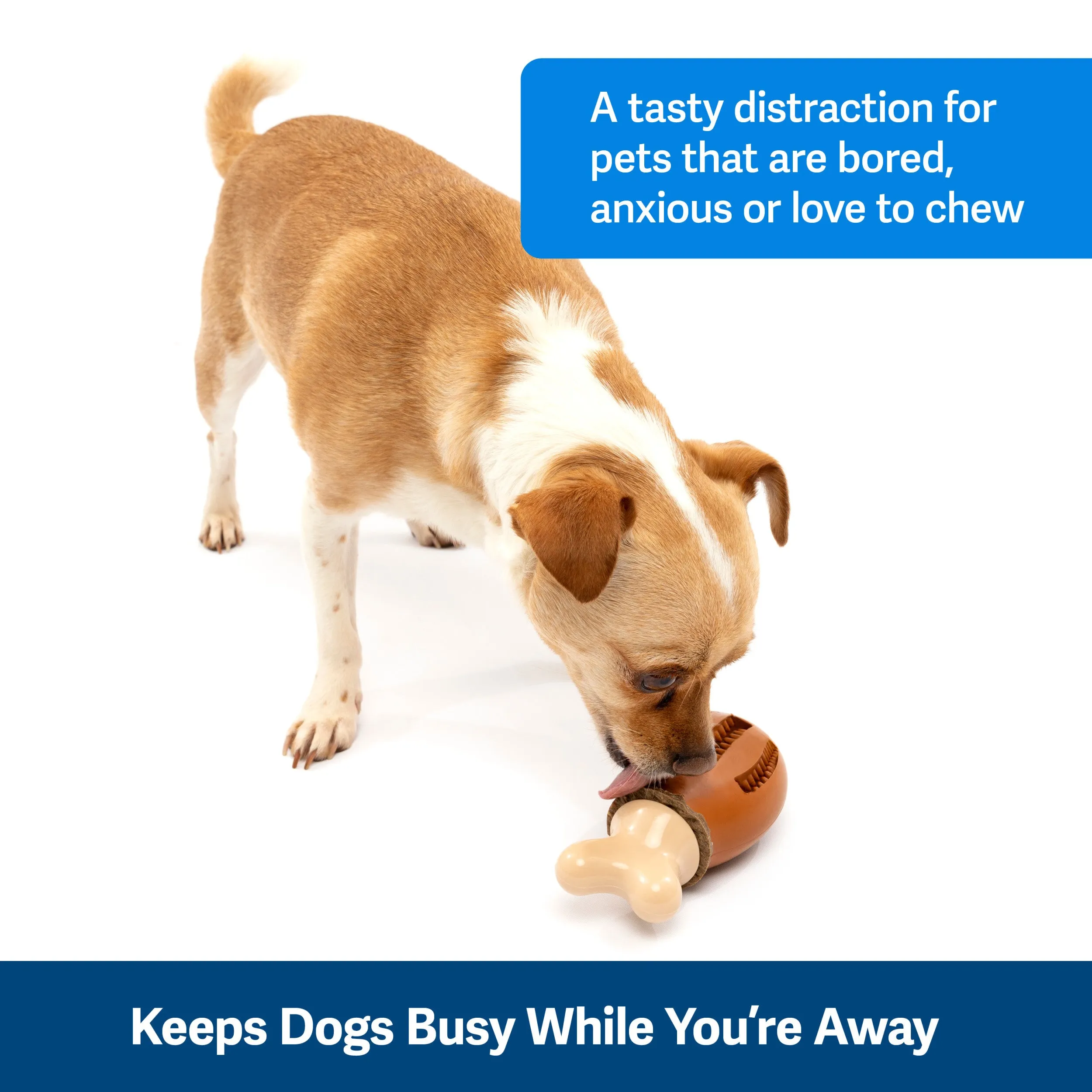 Busy Buddy® Chompin' Chicken