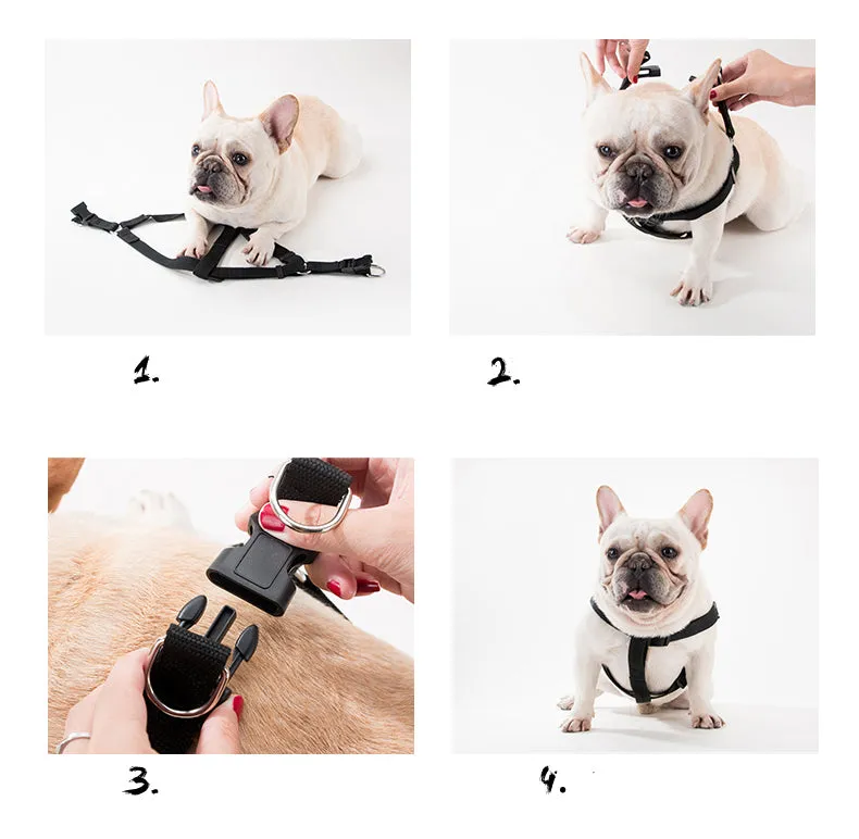 Cartoon Harness (No-Pull)