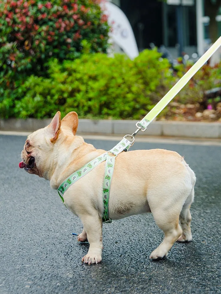 Cartoon Harness (No-Pull)