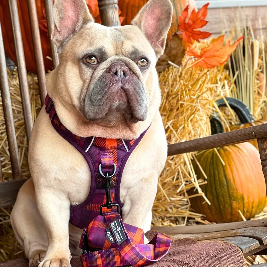 Cozy Plaid No Pull Harness Bundle