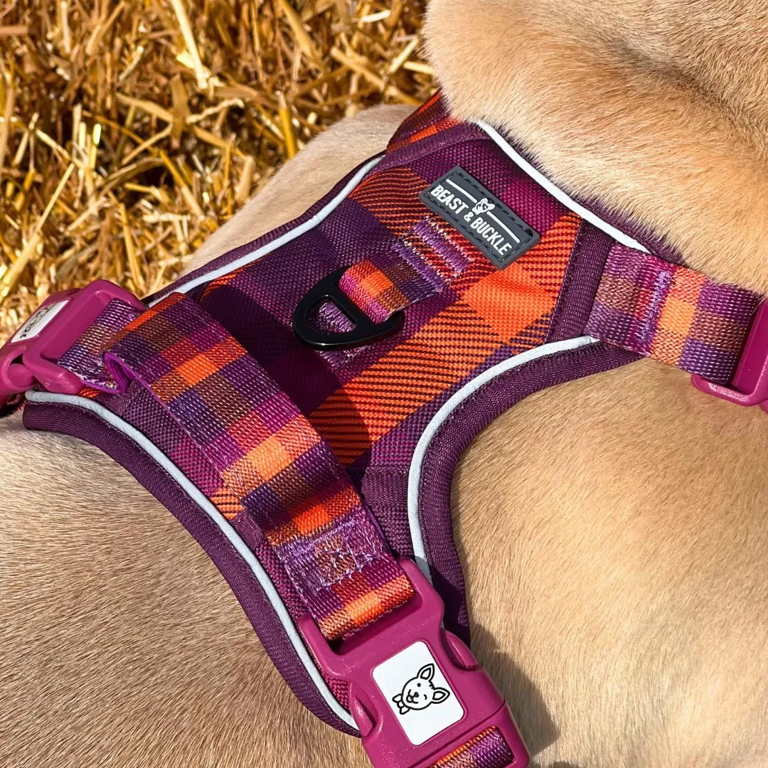 Cozy Plaid No Pull Harness Bundle