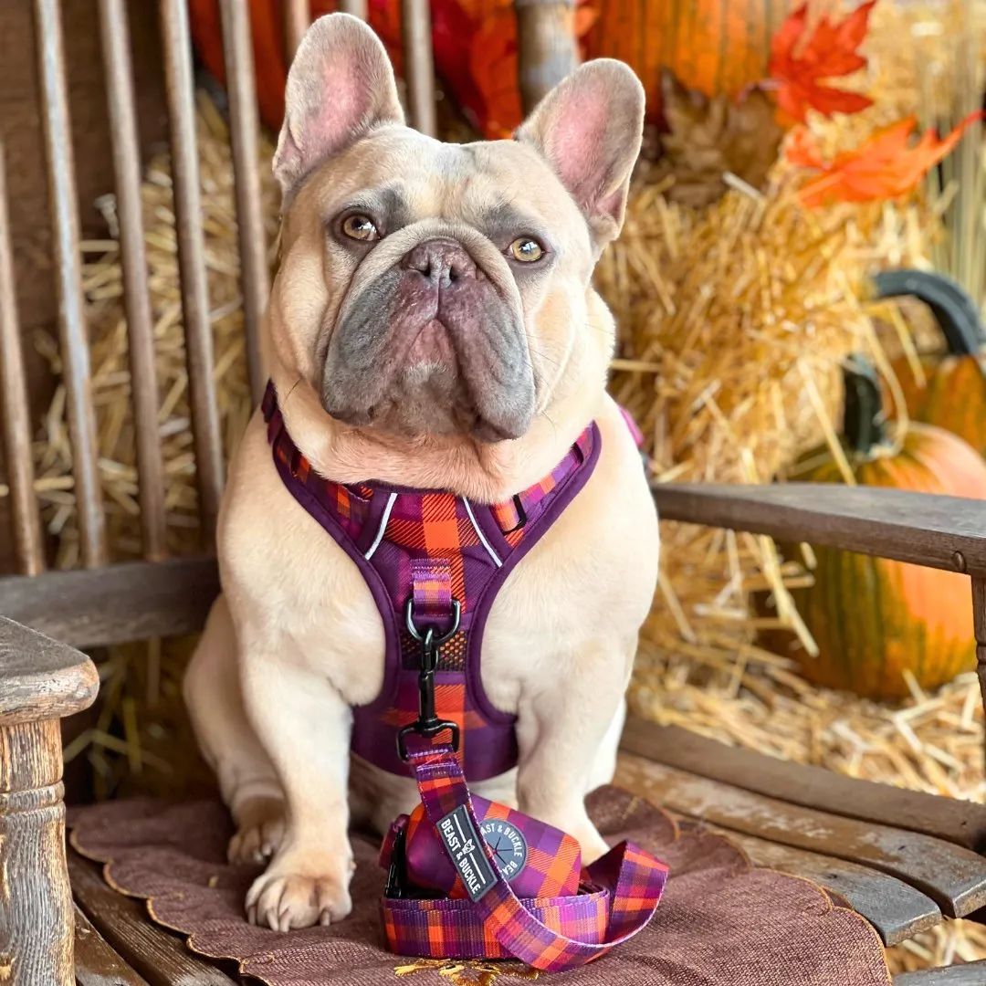 Cozy Plaid No Pull Harness Bundle