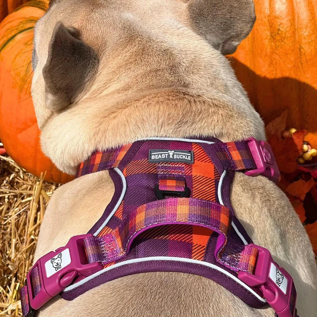 Cozy Plaid No Pull Harness Bundle