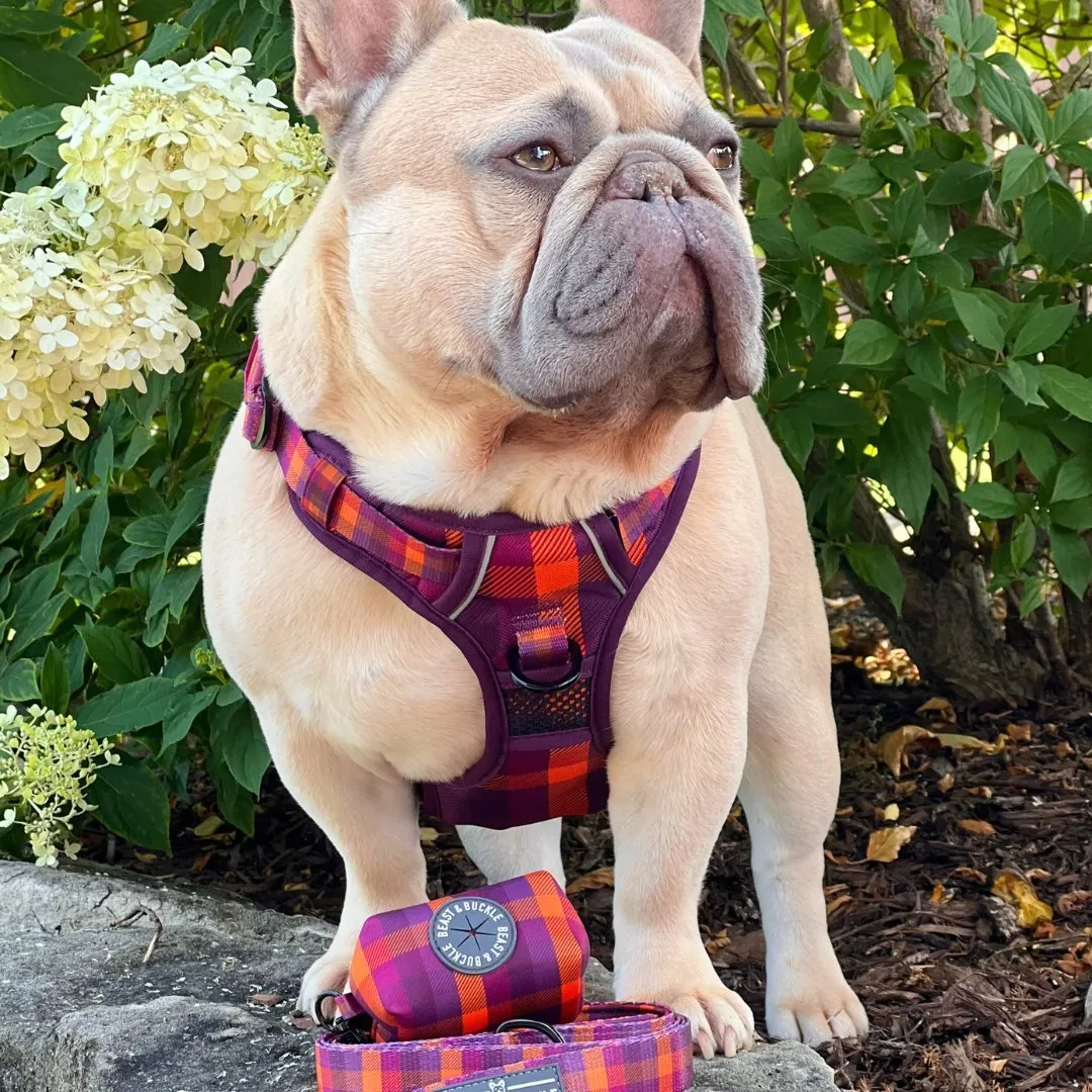 Cozy Plaid No Pull Harness Bundle