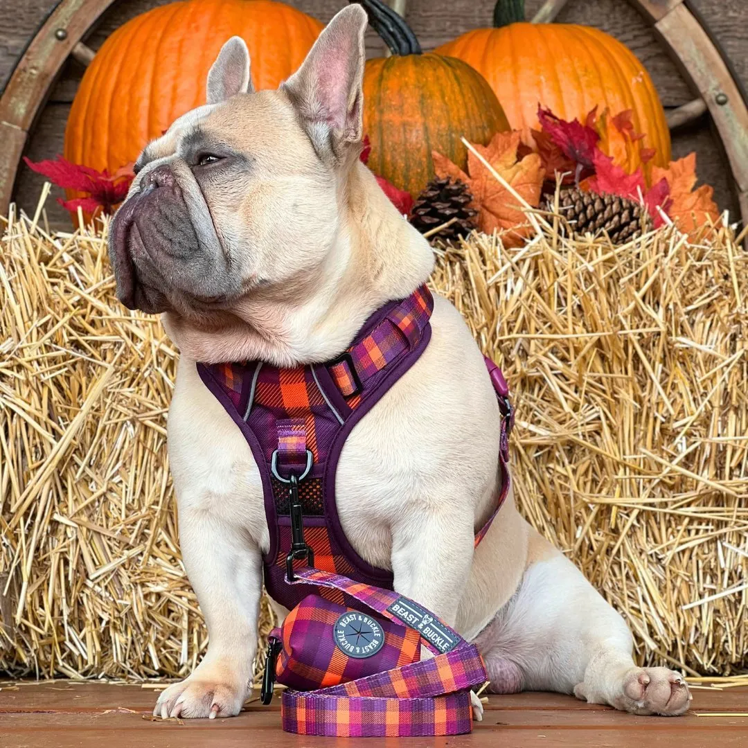 Cozy Plaid No Pull Harness Bundle