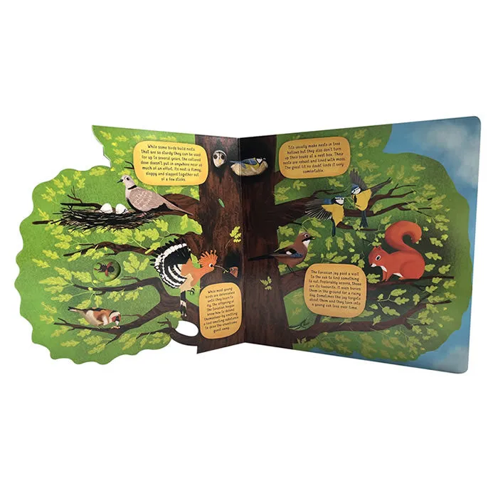 Discovering The World Of Bird Nests Board Book