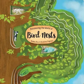 Discovering The World Of Bird Nests Board Book