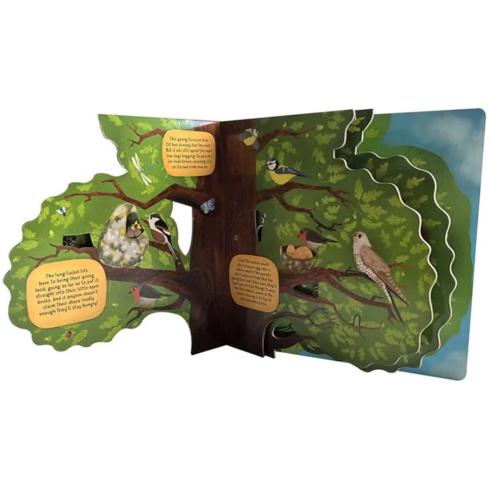 Discovering The World Of Bird Nests Board Book