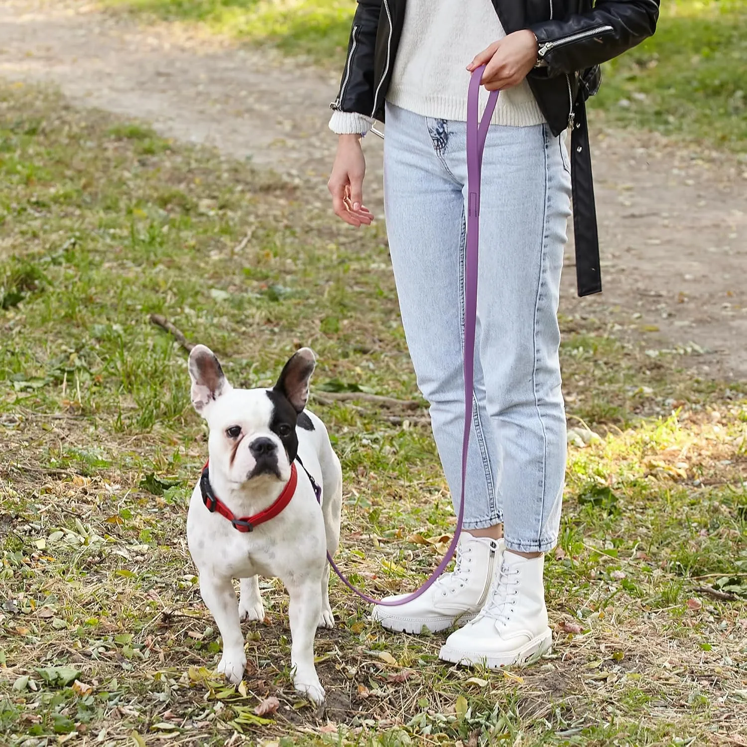 Dogline Biothane Waterproof Dog Leash Strong Coated Nylon Webbing with Black Hardware Odor-Proof Easy to Clean High Performance for Small or Large Dogs Made in USA 4 or 6 ft Lead, Amethyst Purple