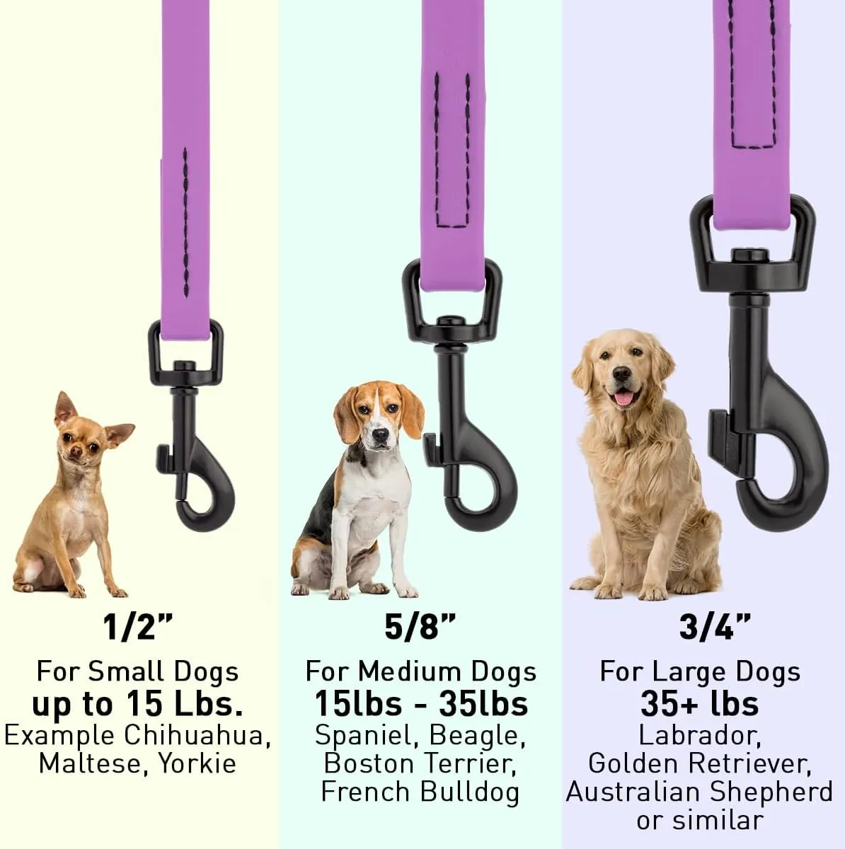 Dogline Biothane Waterproof Dog Leash Strong Coated Nylon Webbing with Black Hardware Odor-Proof Easy to Clean High Performance for Small or Large Dogs Made in USA 4 or 6 ft Lead, Amethyst Purple