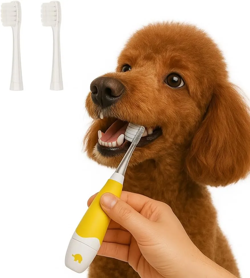 Electric Toothbrush for Dogs & Cats - Soft Bristle Pet Toothbrush, Rechargeable & Quiet, Ideal for Small Dogs and Cats (Blue-White light (1 small brush head   2 spare large brush heads), Small)