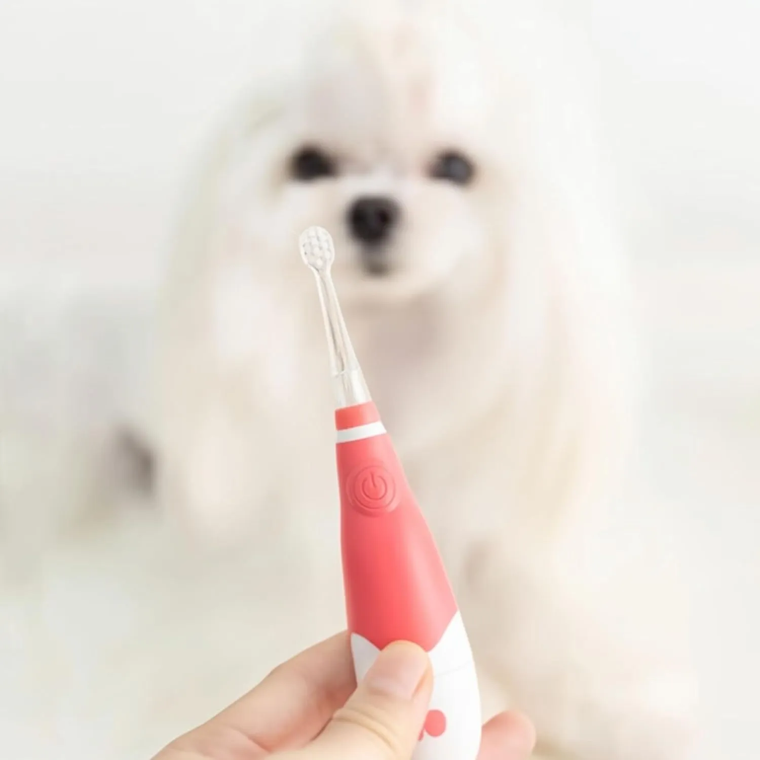 Electric Toothbrush for Dogs & Cats - Soft Bristle Pet Toothbrush, Rechargeable & Quiet, Ideal for Small Dogs and Cats (Blue-White light (1 small brush head   2 spare large brush heads), Small)