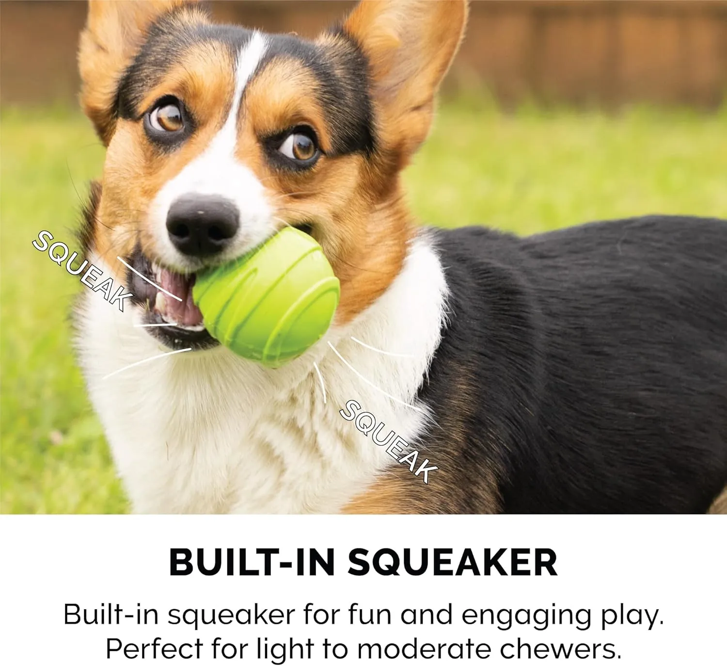 Furhaven 3-Pack 2.5" Squeaky Ball Dog Toys for Small/Medium Dogs, Fits Most Standard Launchers - Fetch 'N Fun TPR Squeaky Ball Toy Set - Play Pack, Set of 3
