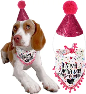 Gotcha Day Dog Birthday Outfit - Bandana and Party Hat for Small to Large Dogs