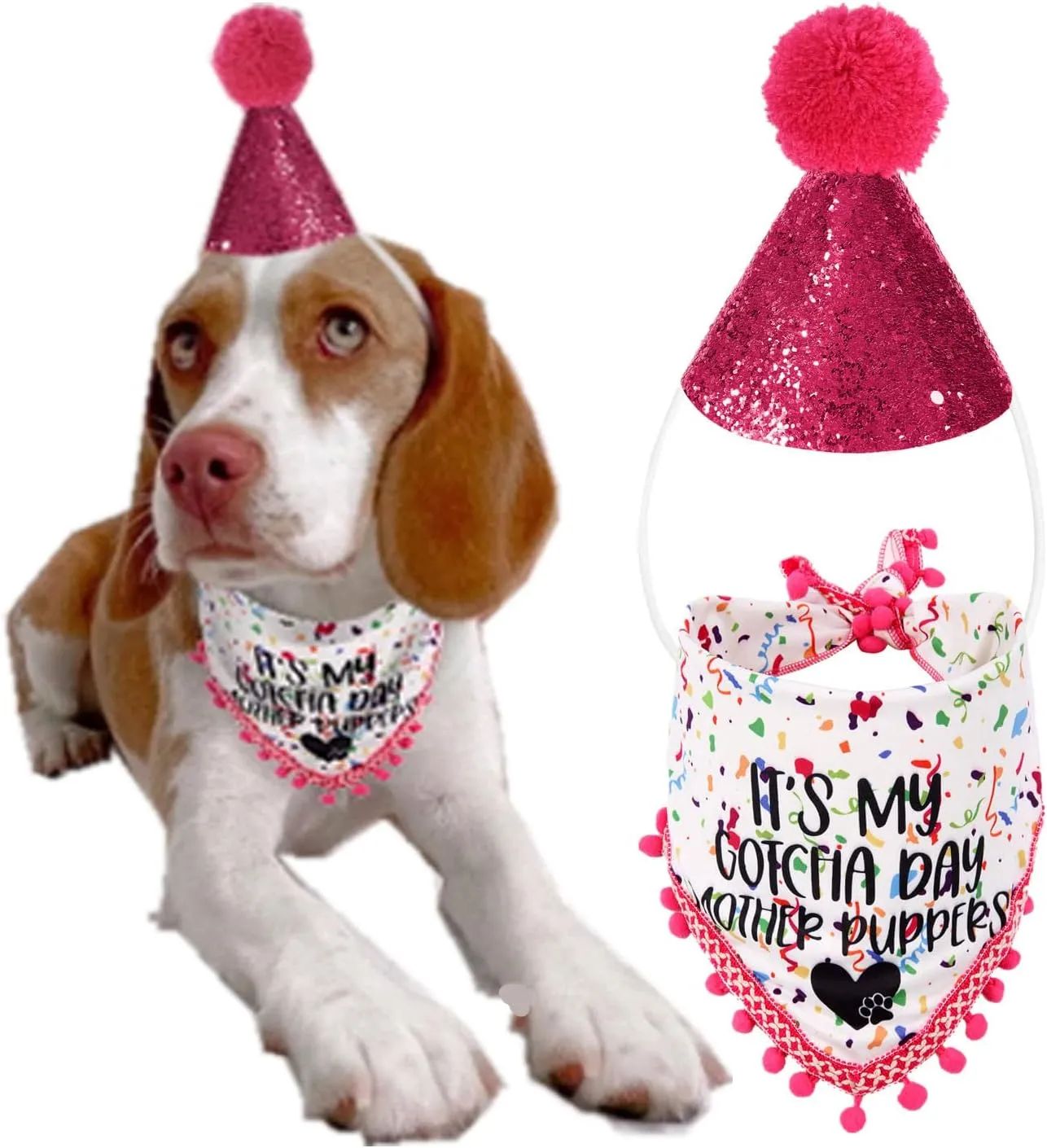 Gotcha Day Dog Birthday Outfit - Bandana and Party Hat for Small to Large Dogs