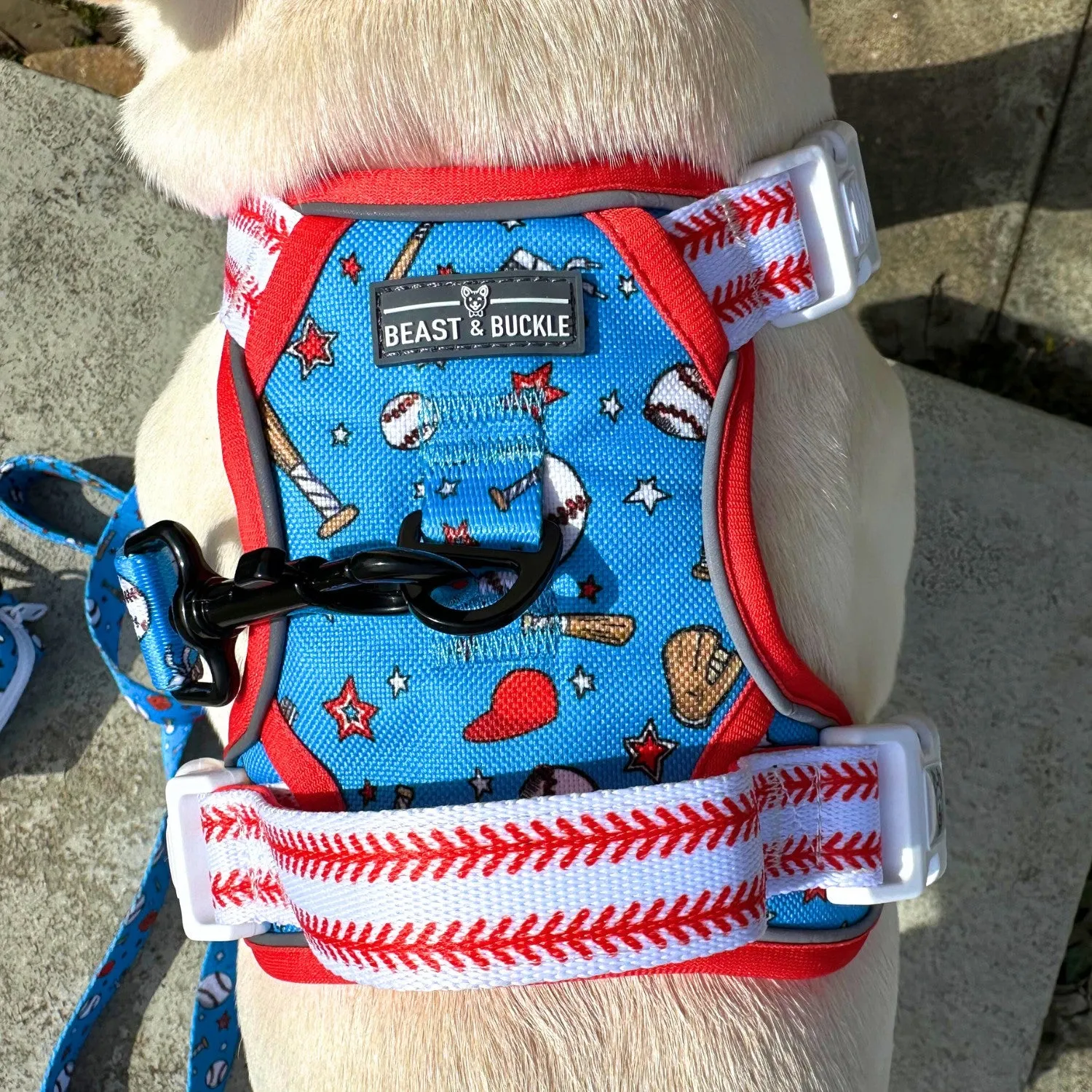 Home Run No Pull Harness Bundle