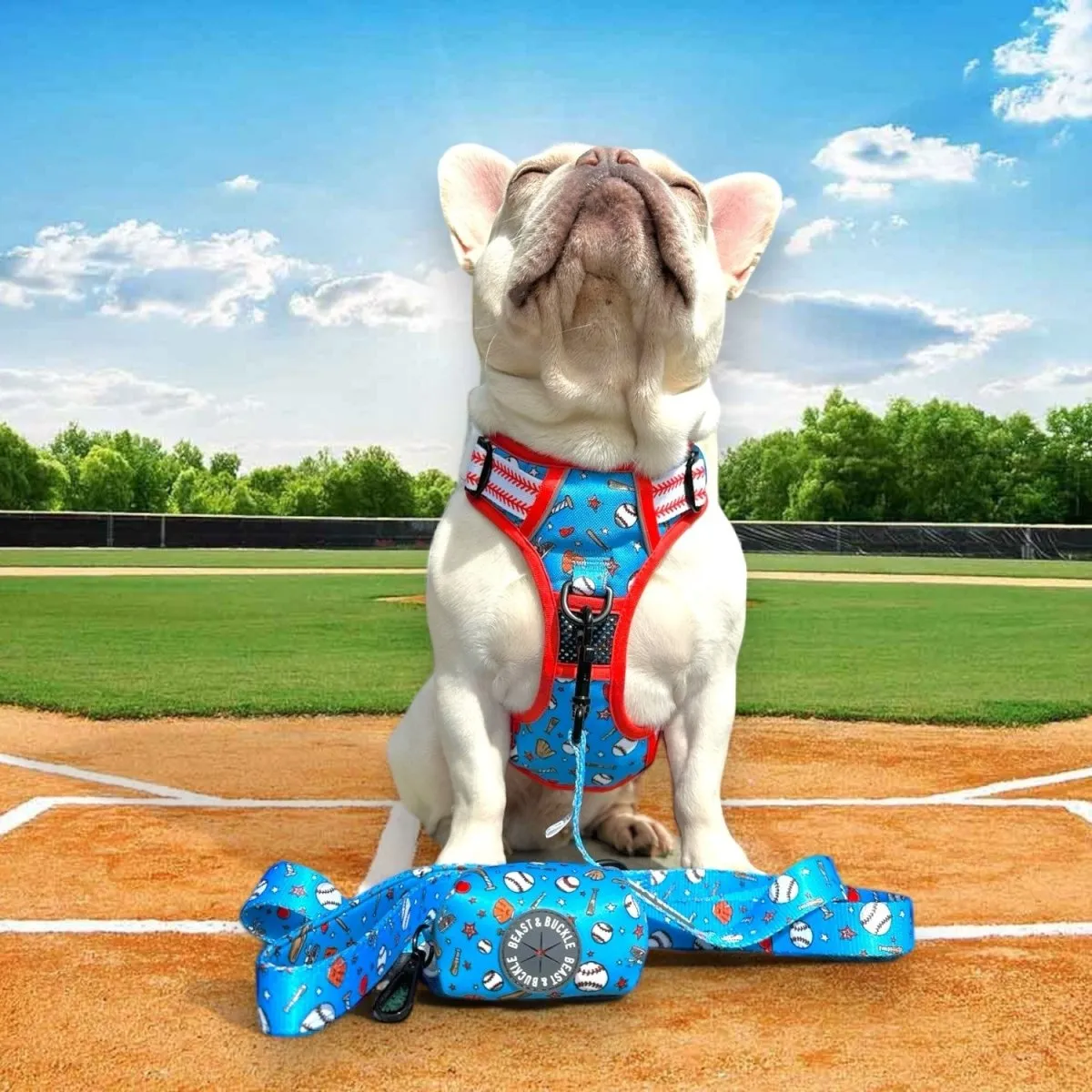 Home Run No Pull Harness Bundle