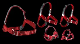 JWalker Training Harness - Red