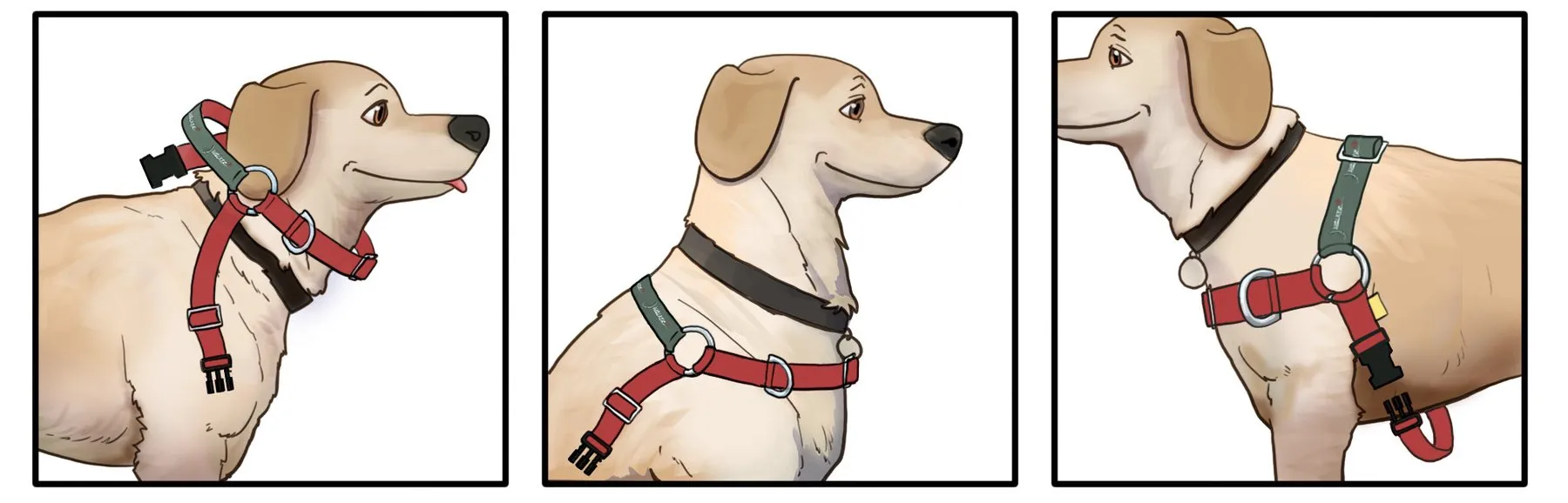 JWalker Training Harness - Red