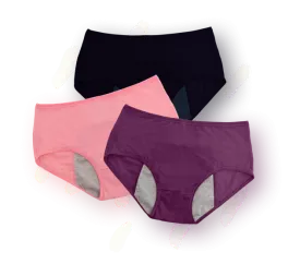 Leak Proof Panties