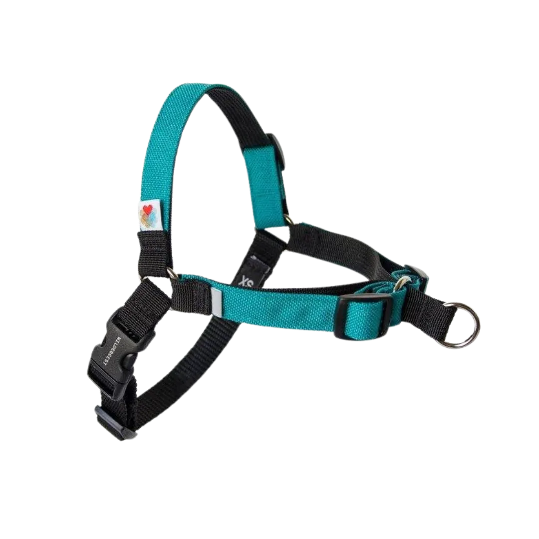 Linden No Pull Harness