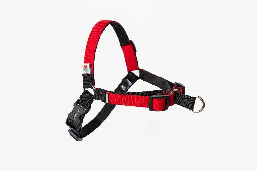 Linden No Pull Harness