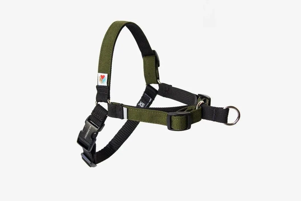 Linden No Pull Harness