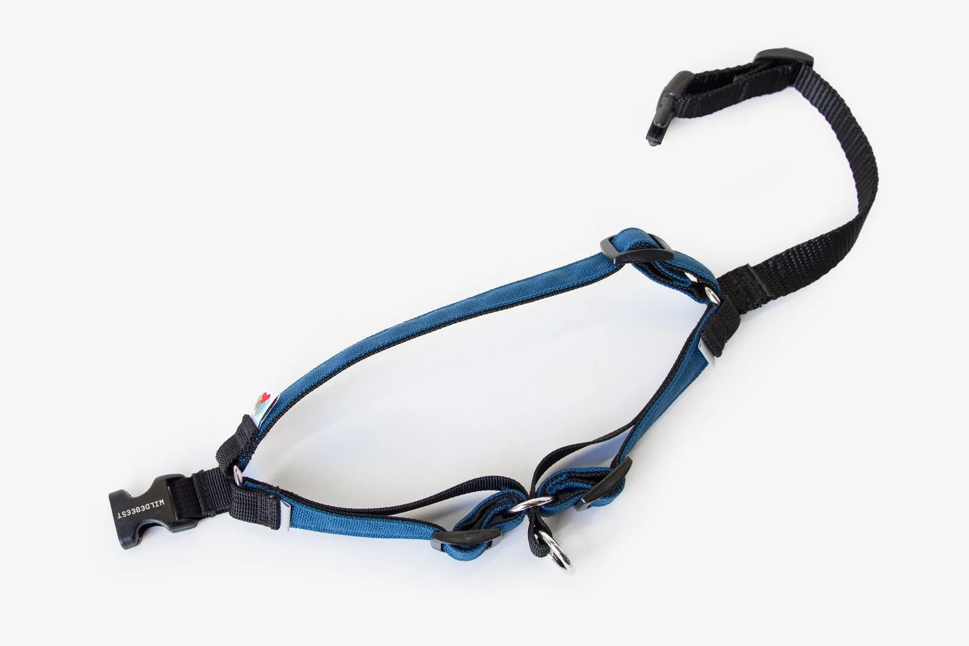 Linden No Pull Harness