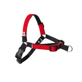 Linden No Pull Harness