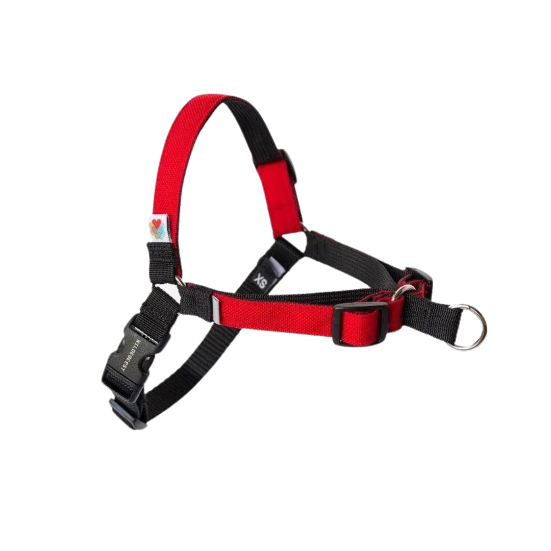 Linden No Pull Harness