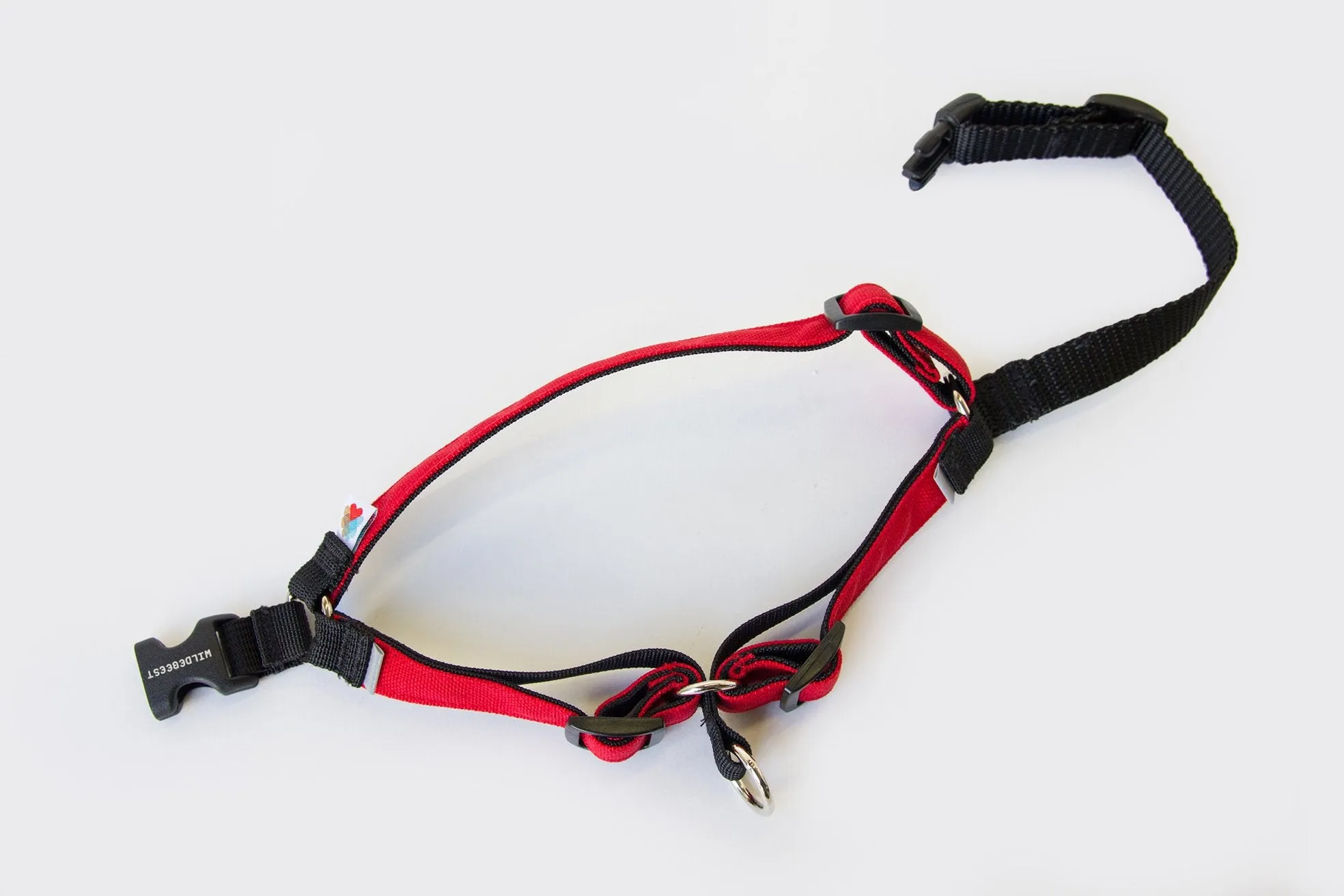 Linden No Pull Harness