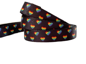 Love Is Love - Recycled Eco-Friendly 5 ft Leash