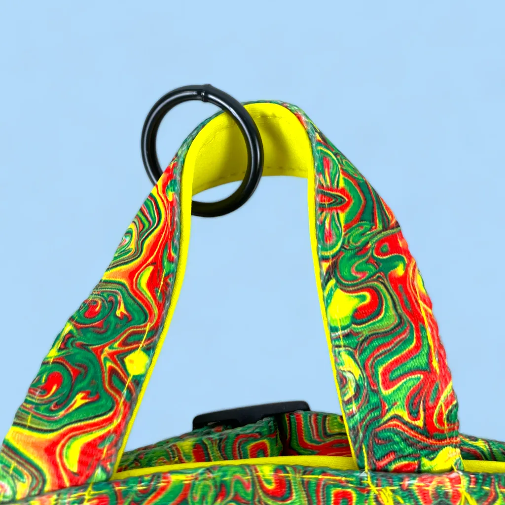 No Pull Padded Doggo Harness Set