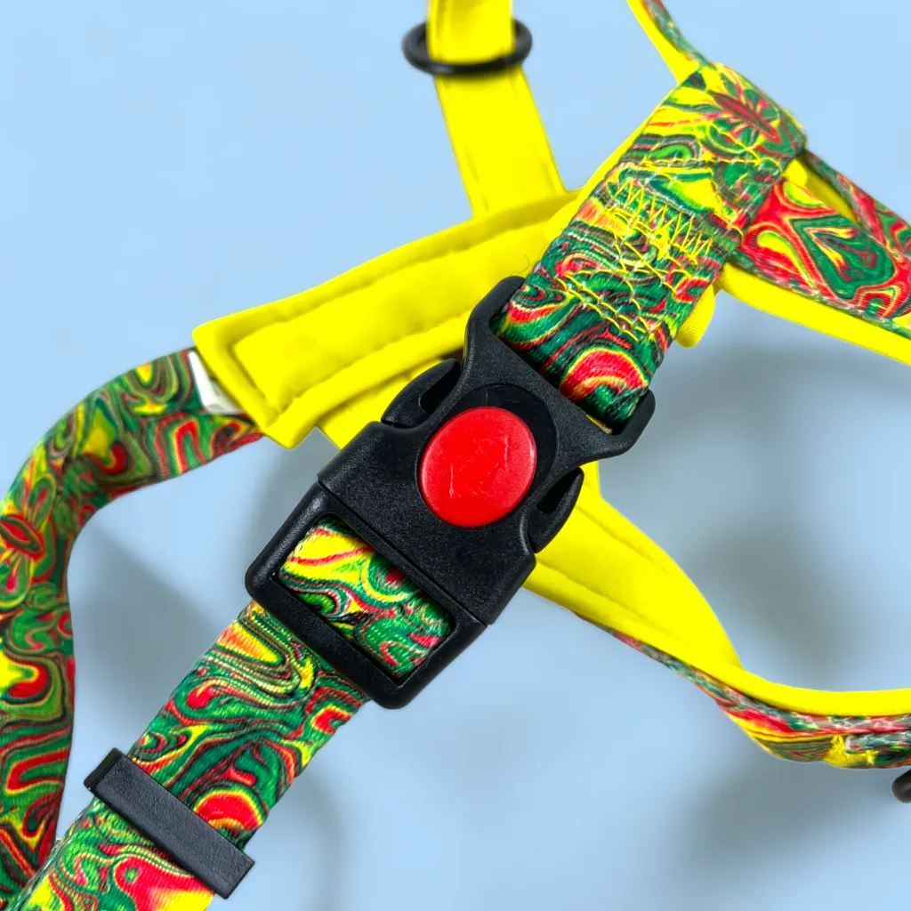 No Pull Padded Doggo Harness Set