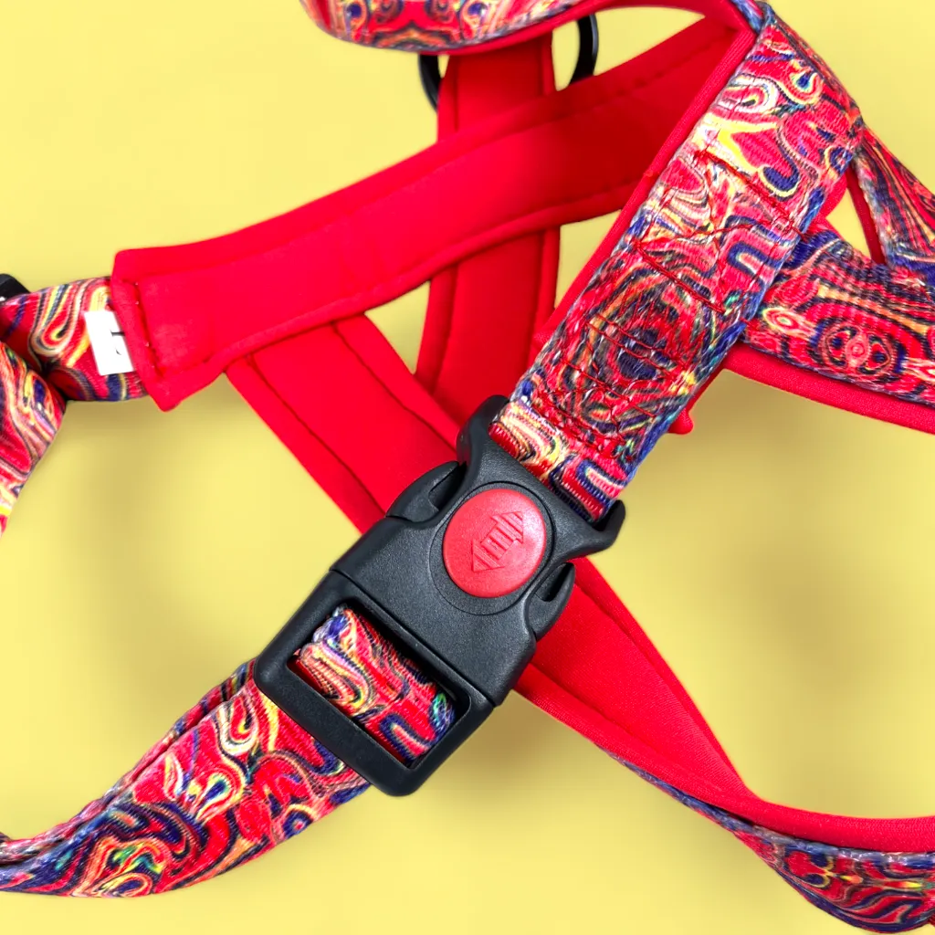 No Pull Padded Doggo Harness Set
