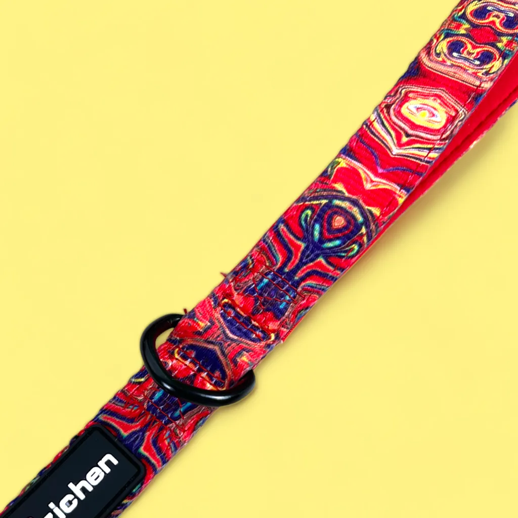 No Pull Padded Doggo Harness Set
