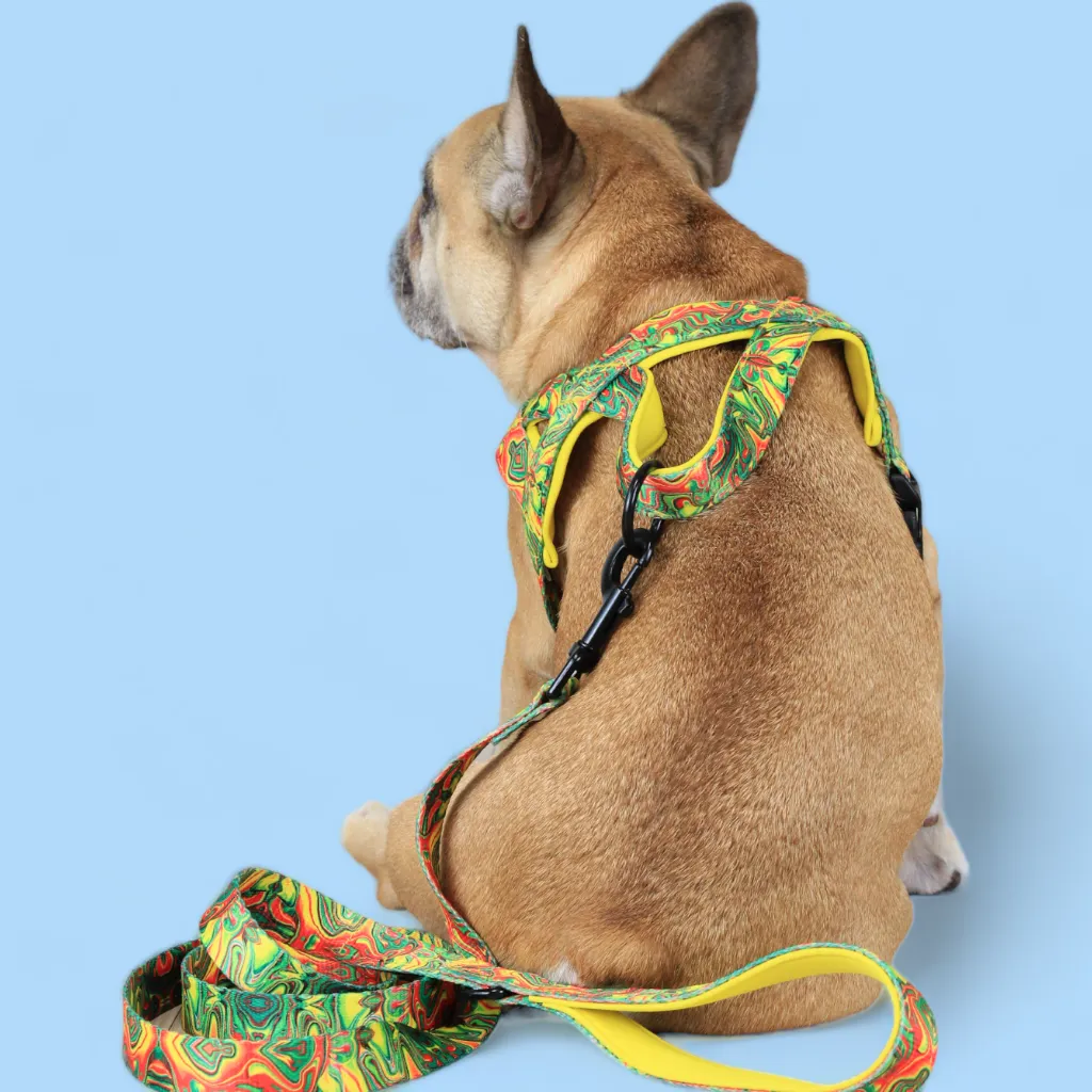 No Pull Padded Doggo Harness Set