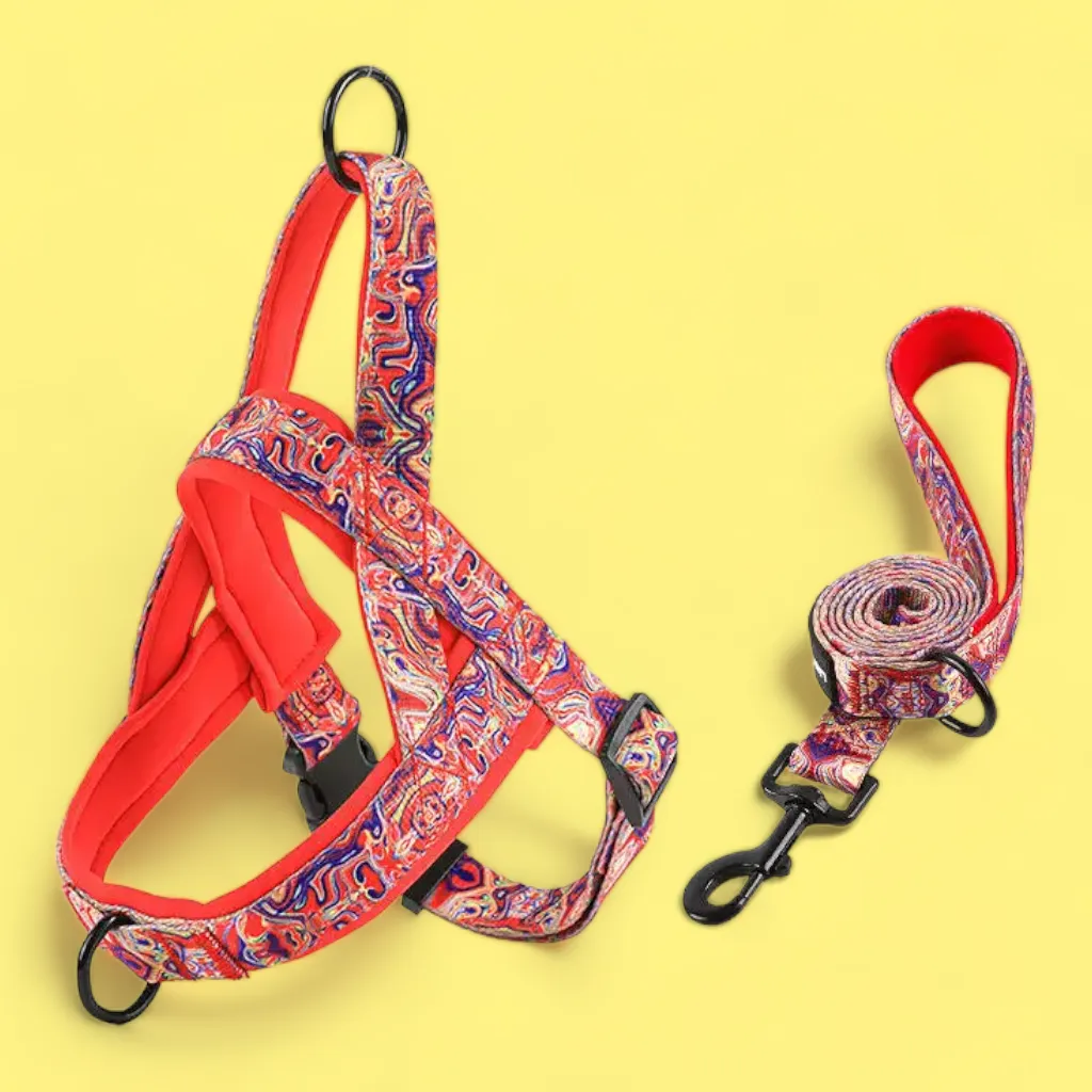 No Pull Padded Doggo Harness Set