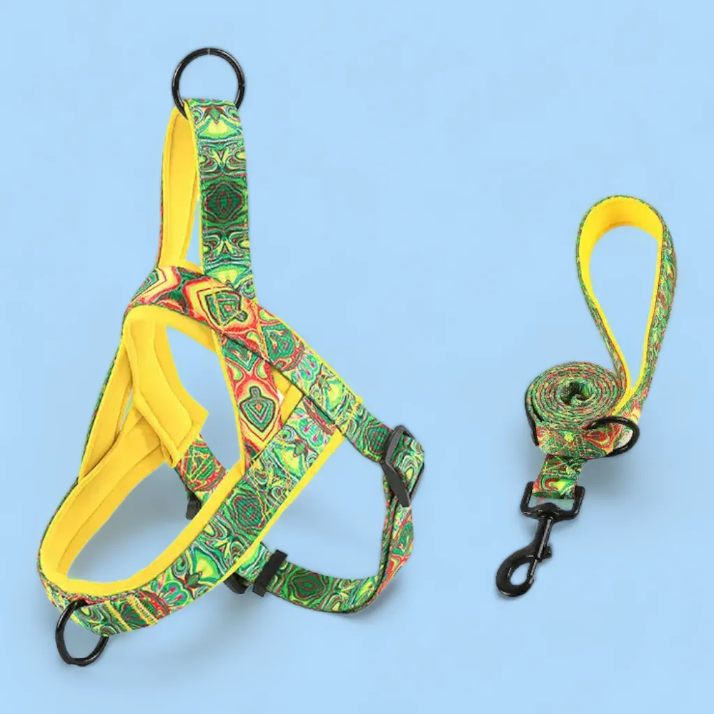 No Pull Padded Doggo Harness Set