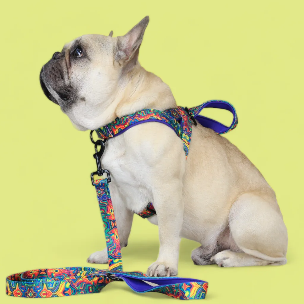 No Pull Padded Doggo Harness Set