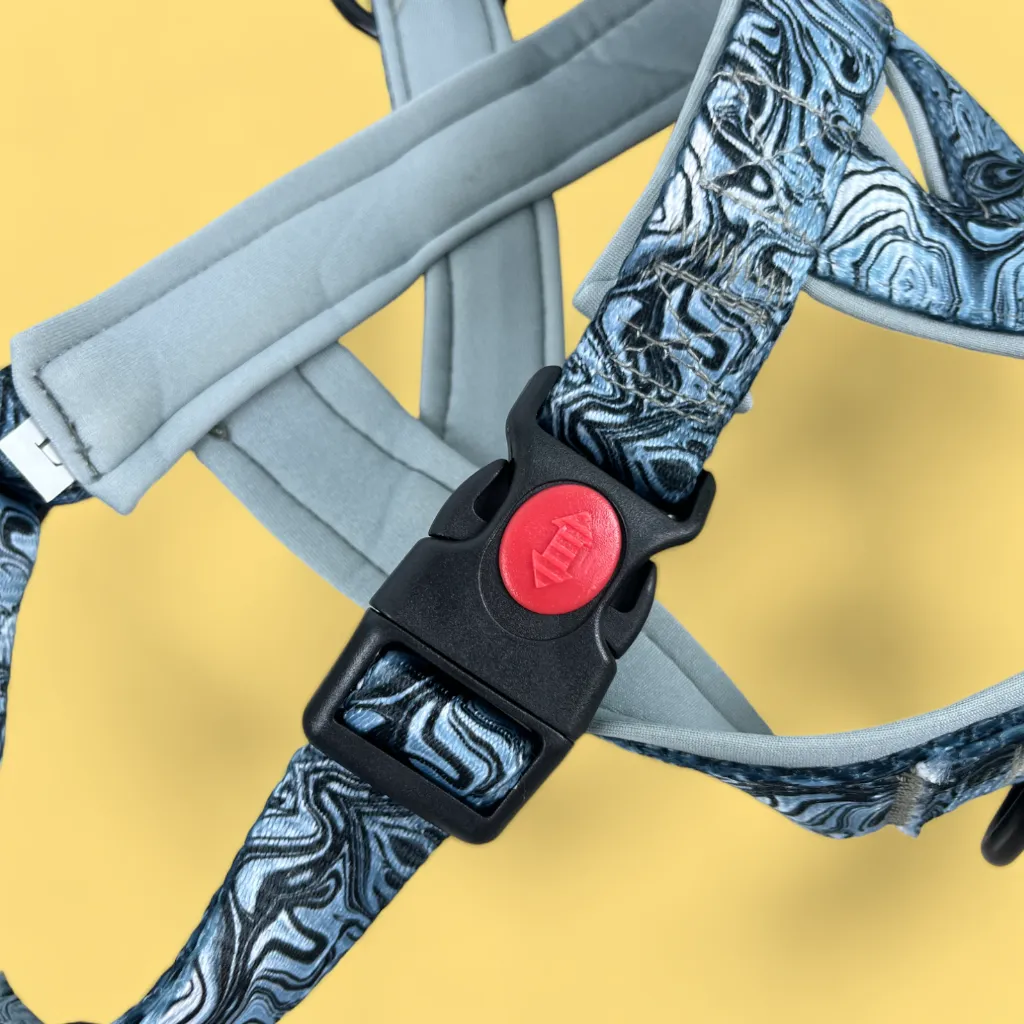 No Pull Padded Doggo Harness Set