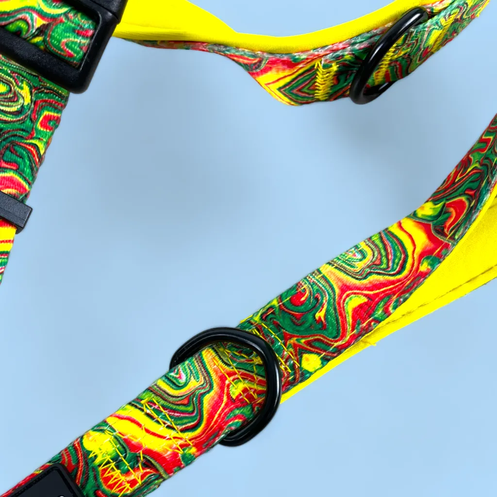 No Pull Padded Doggo Harness Set