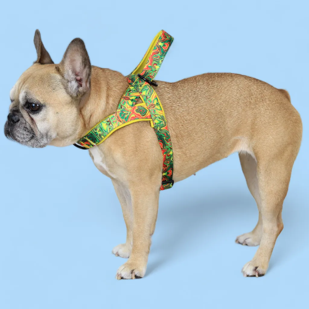 No Pull Padded Doggo Harness Set