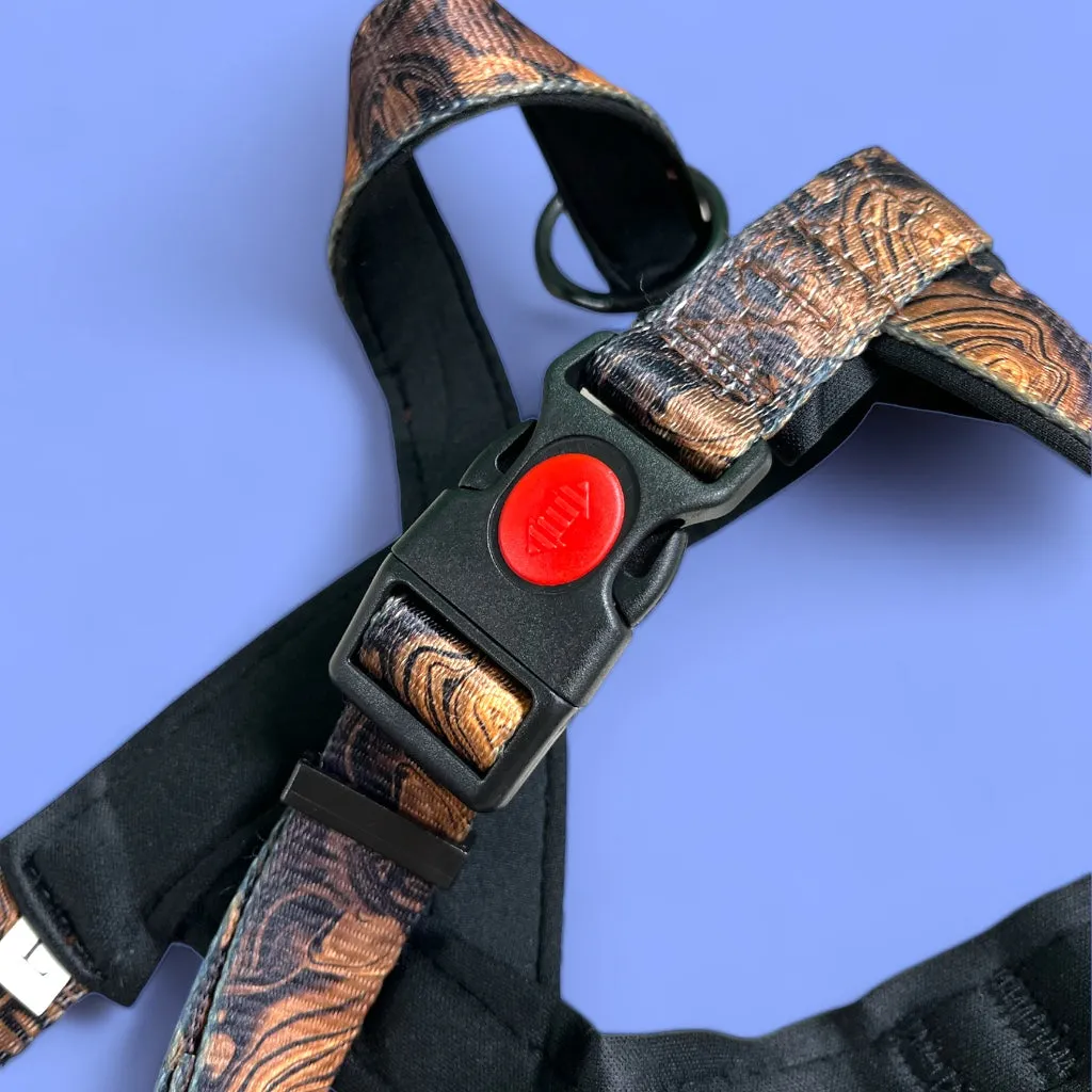 No Pull Padded Doggo Harness Set