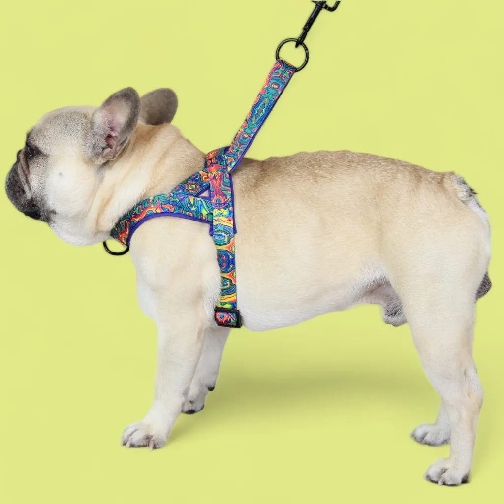 No Pull Padded Doggo Harness Set