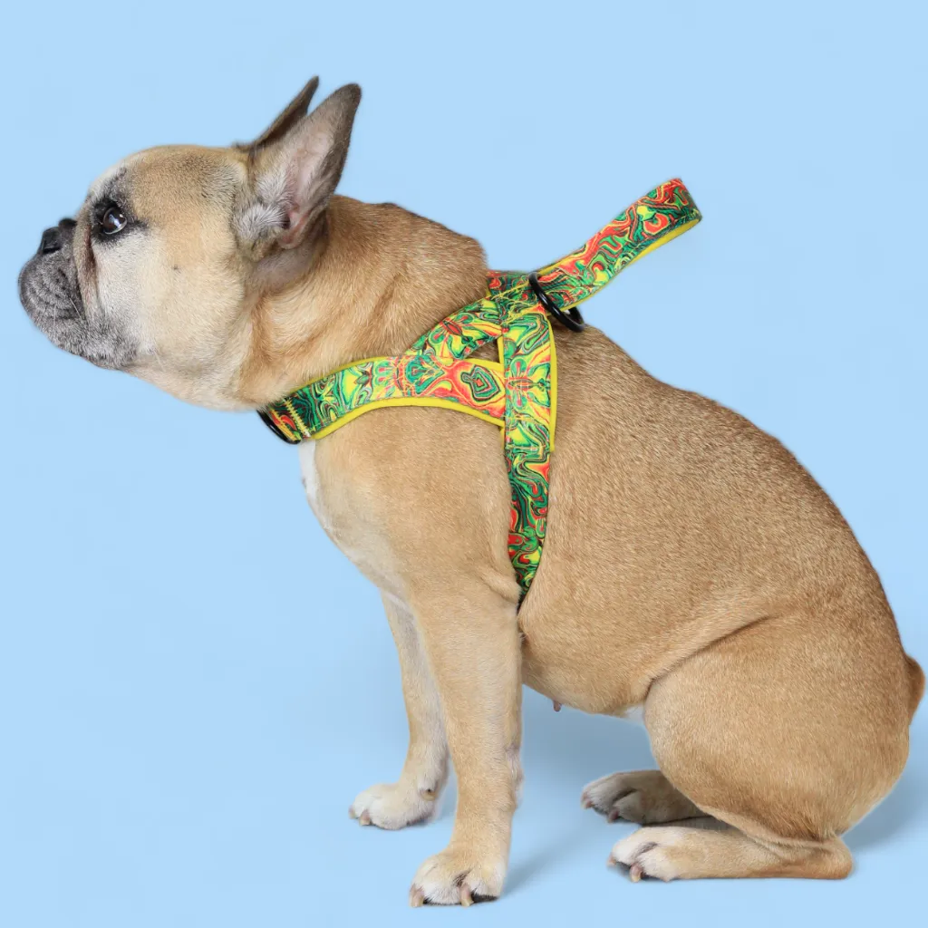 No Pull Padded Doggo Harness Set